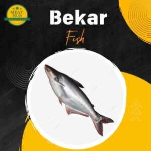 Bekar Fish Regular