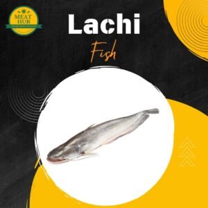 Lachi Fish Regular